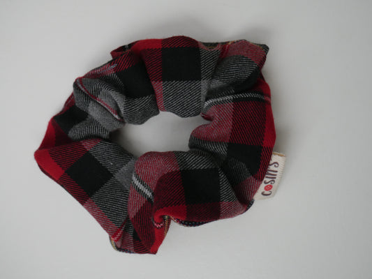 Coletero · Cuadros rojos de invierno